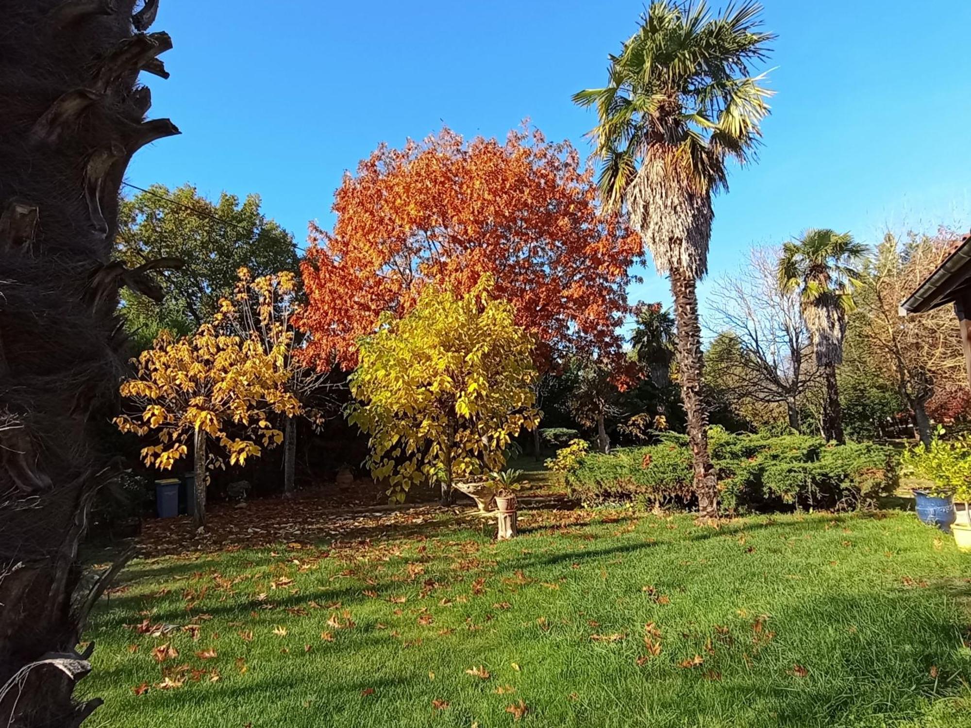 La Canette De Phil - Chambre D'Hotes, Independante - Vue Sur Piscine Samatan Kültér fotó